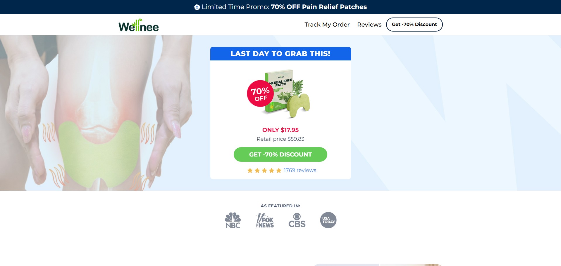 Wellnee Pain Relief Patches Producto